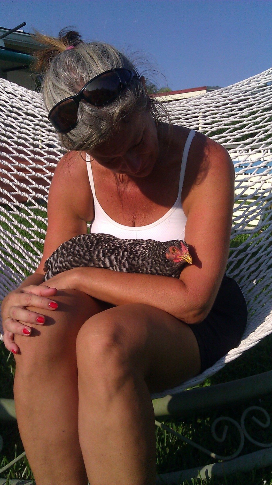 Lois the lap chicken.