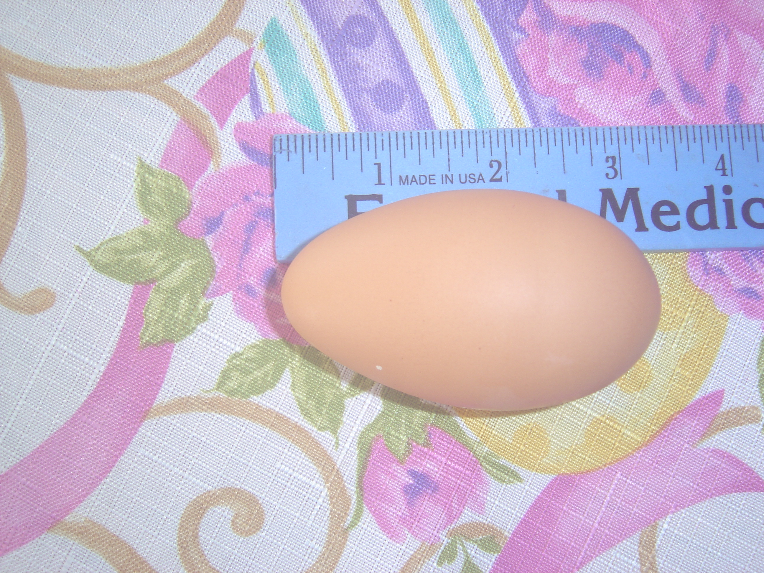 long egg