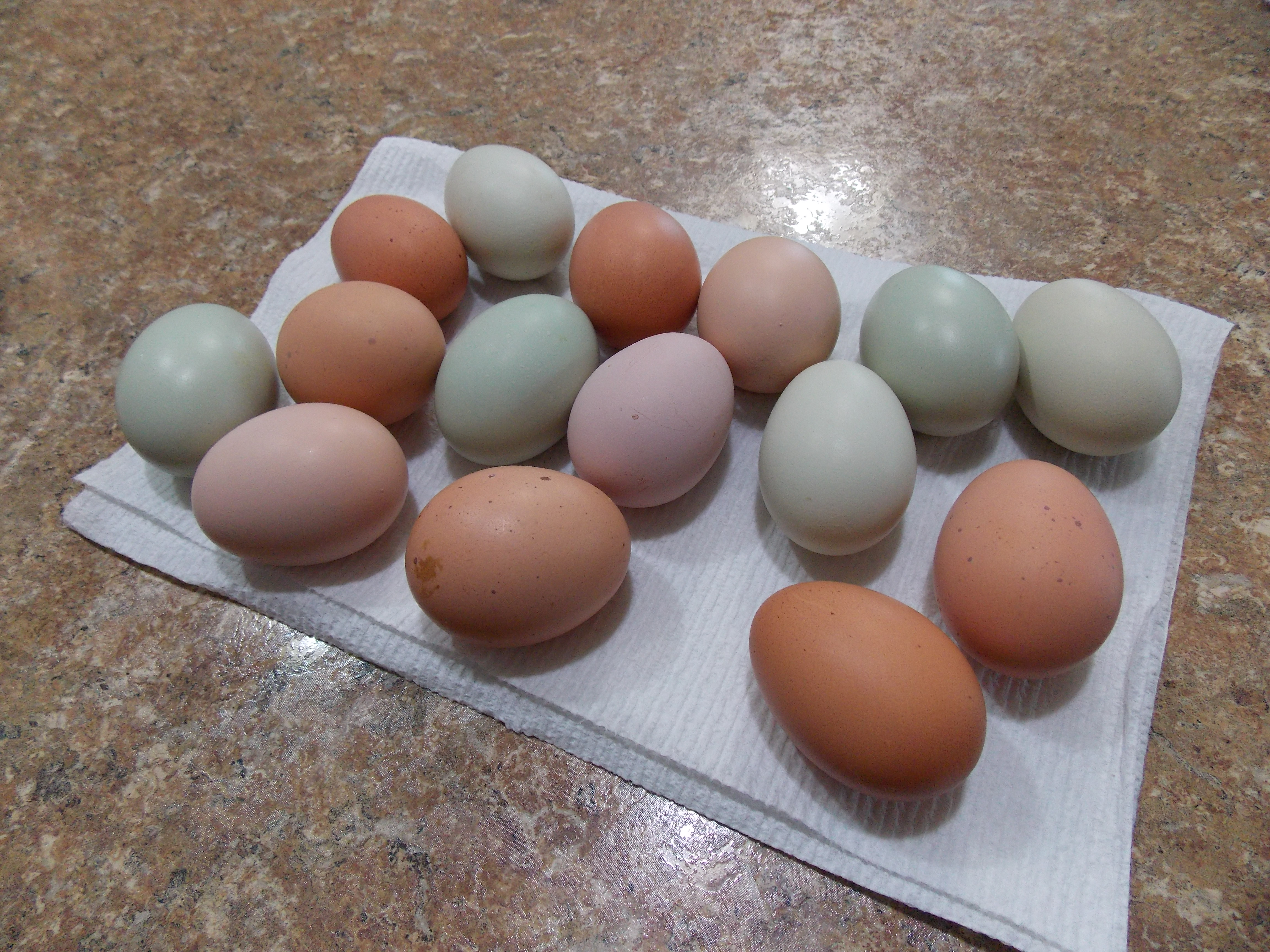 Look at the wonderful colors! And soooo scrumptious! Thank you chickies!