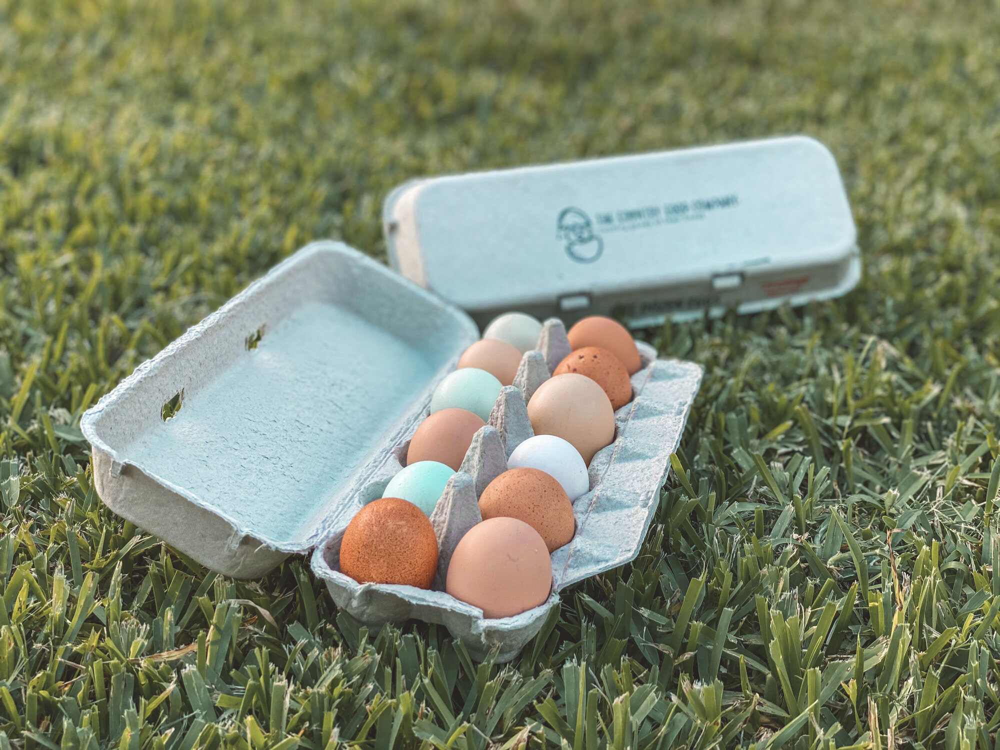 Look at those gorgeous eggs!