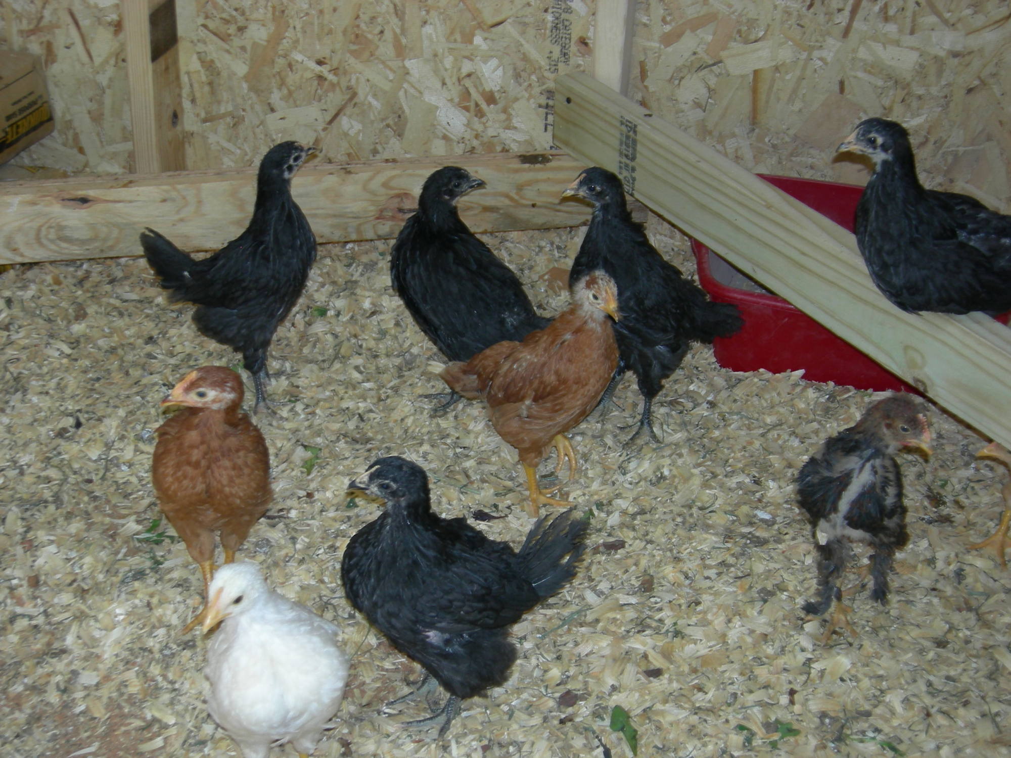 Look at those lovely ladies!