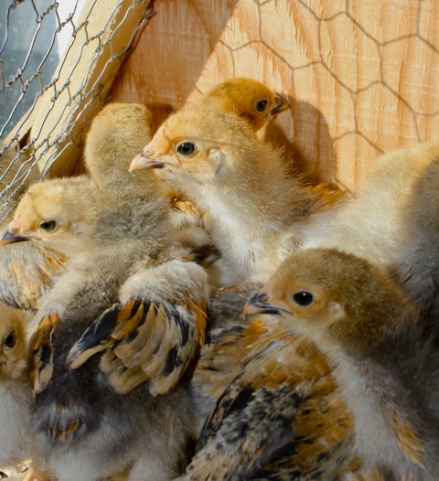 Look how big we are getting, we look great don't we????