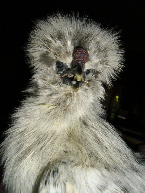 Look into my eye's!!!!!