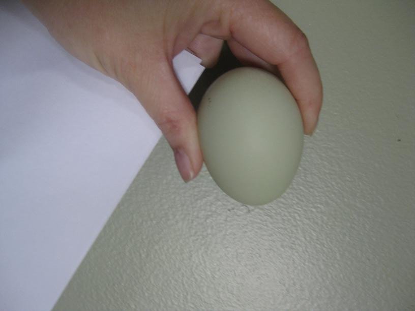 look, my egg matches my front room paint!