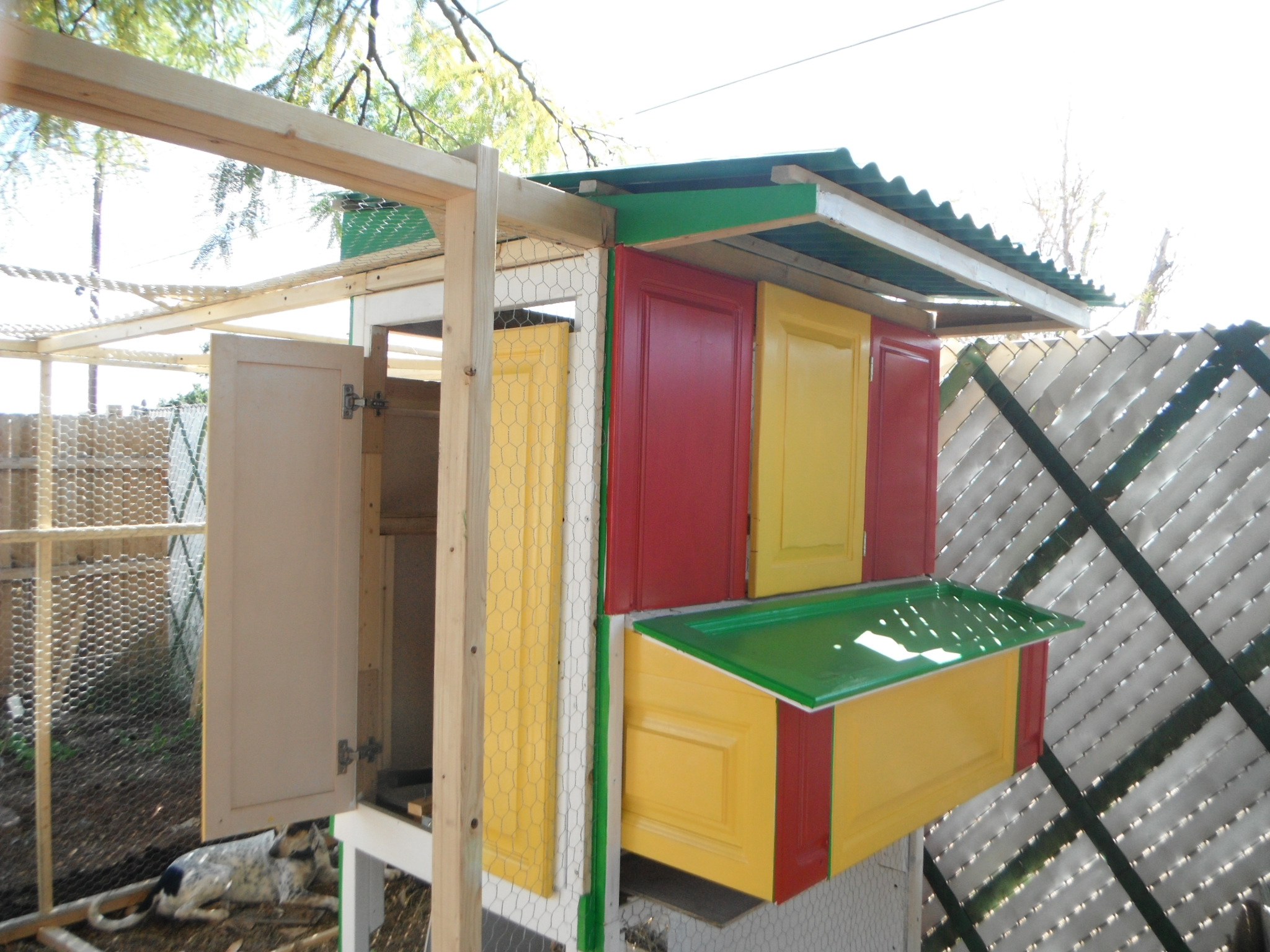 Looking at the coop from the laying box.