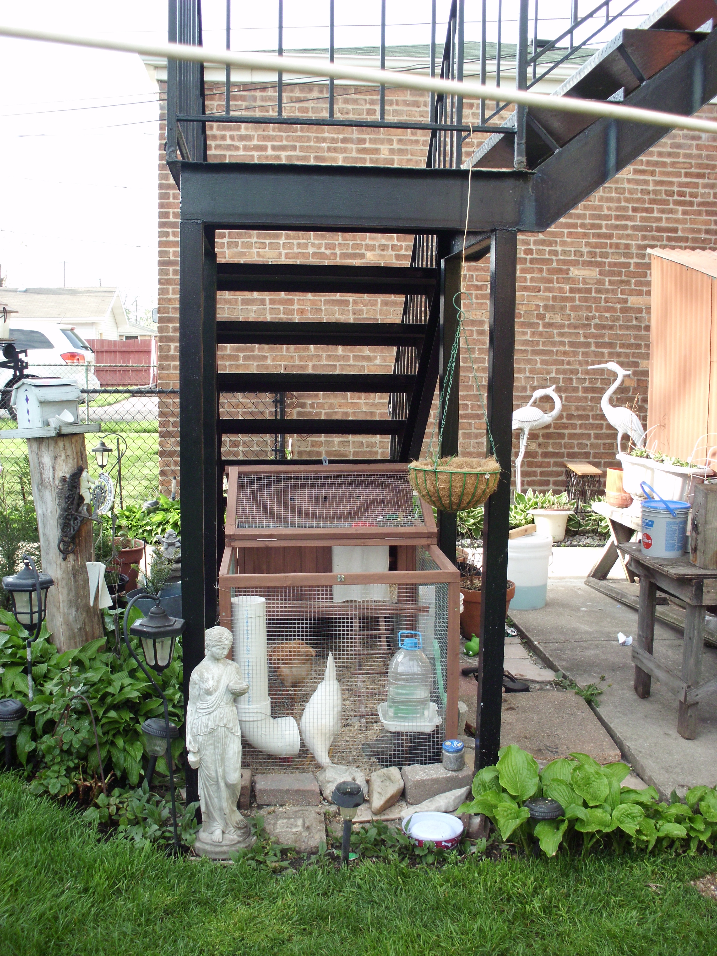 looking at the coop from the yard