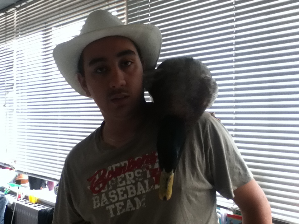 looking for my hands