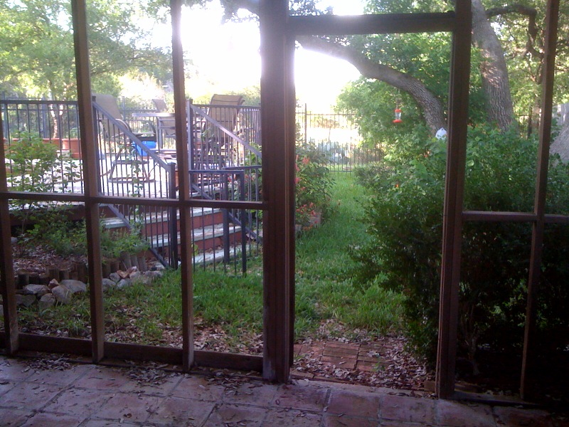 Looking from inside out to the yard and park behind my house (lovely to watch the deer in the evening, plus the grey foxes, possums, armadillos, cottontails and racoons - the last 4 of which are currently living under the same pool deck.  I also have some big predator problems to deal with).jpg