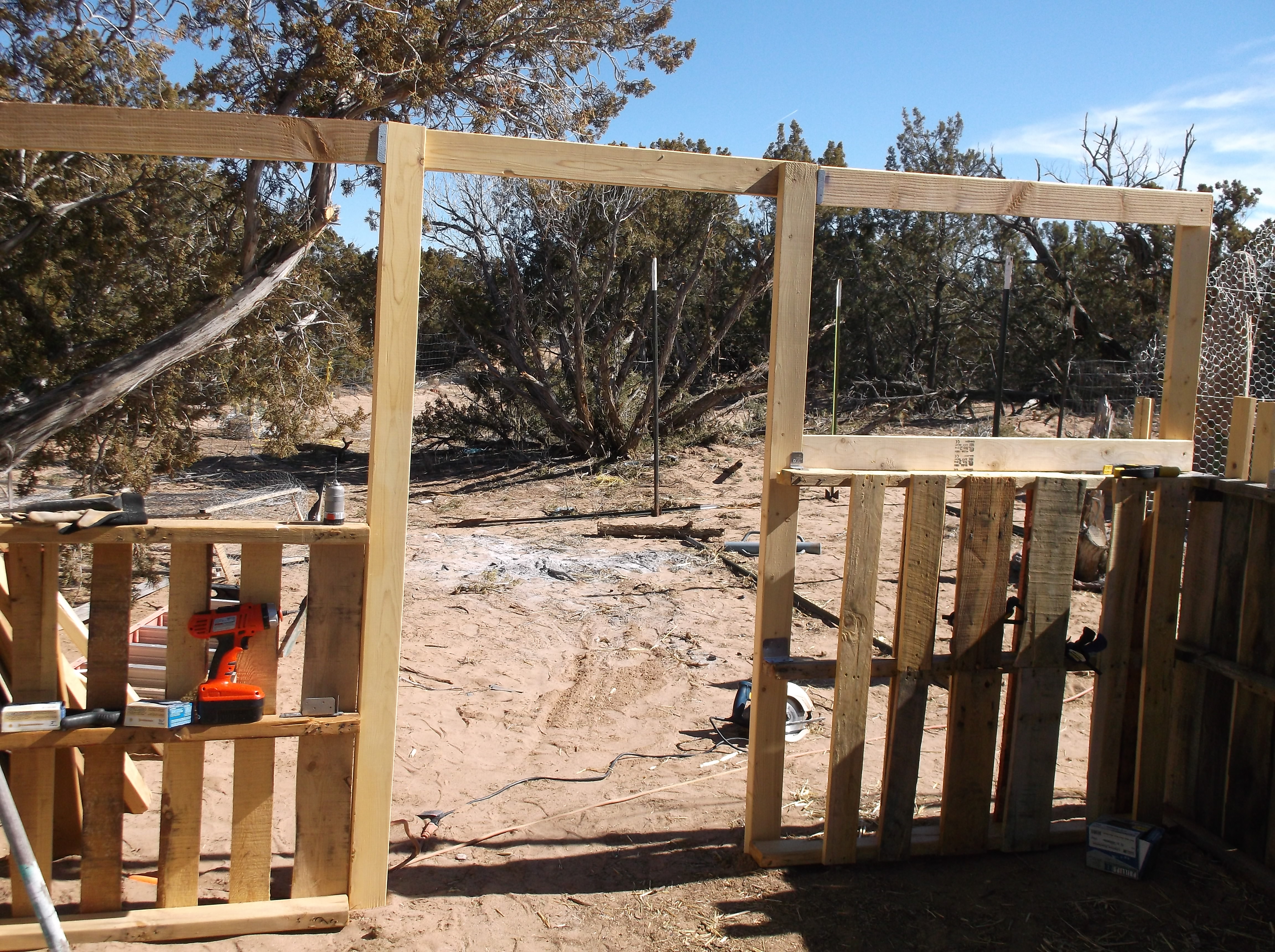 looking from the inside of future coop to future run area.