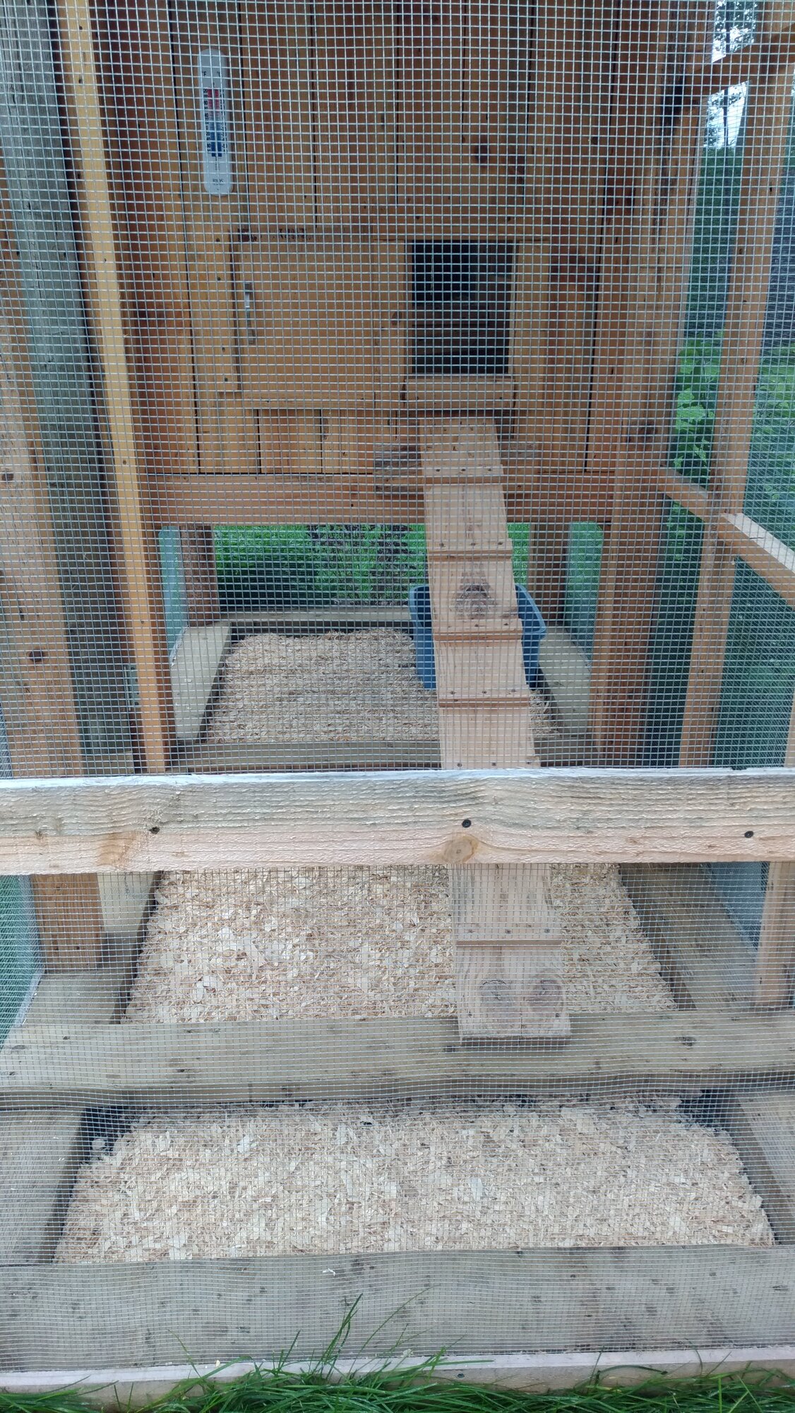 Looking into coop run