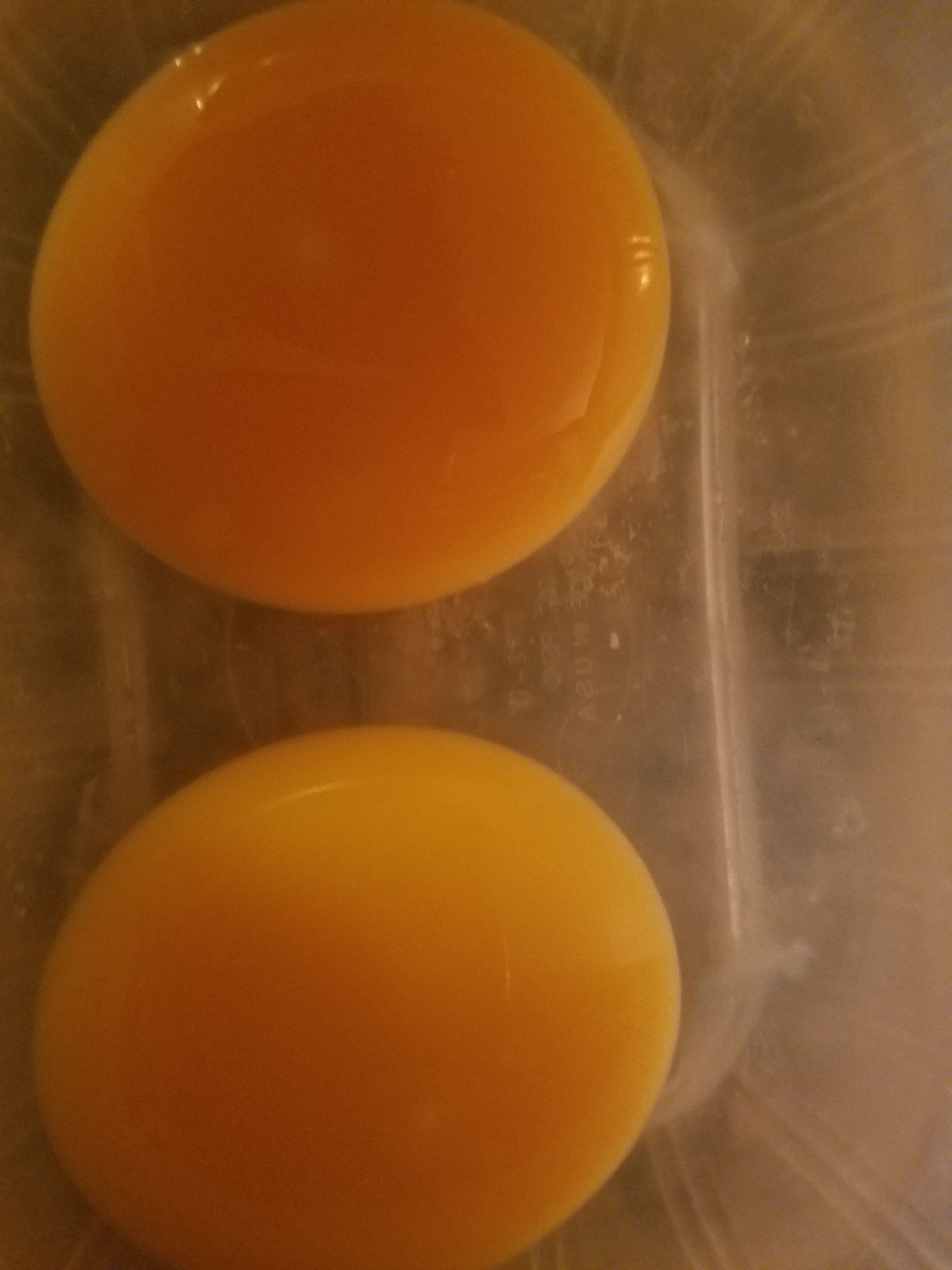 looking to see if it might be fertile?