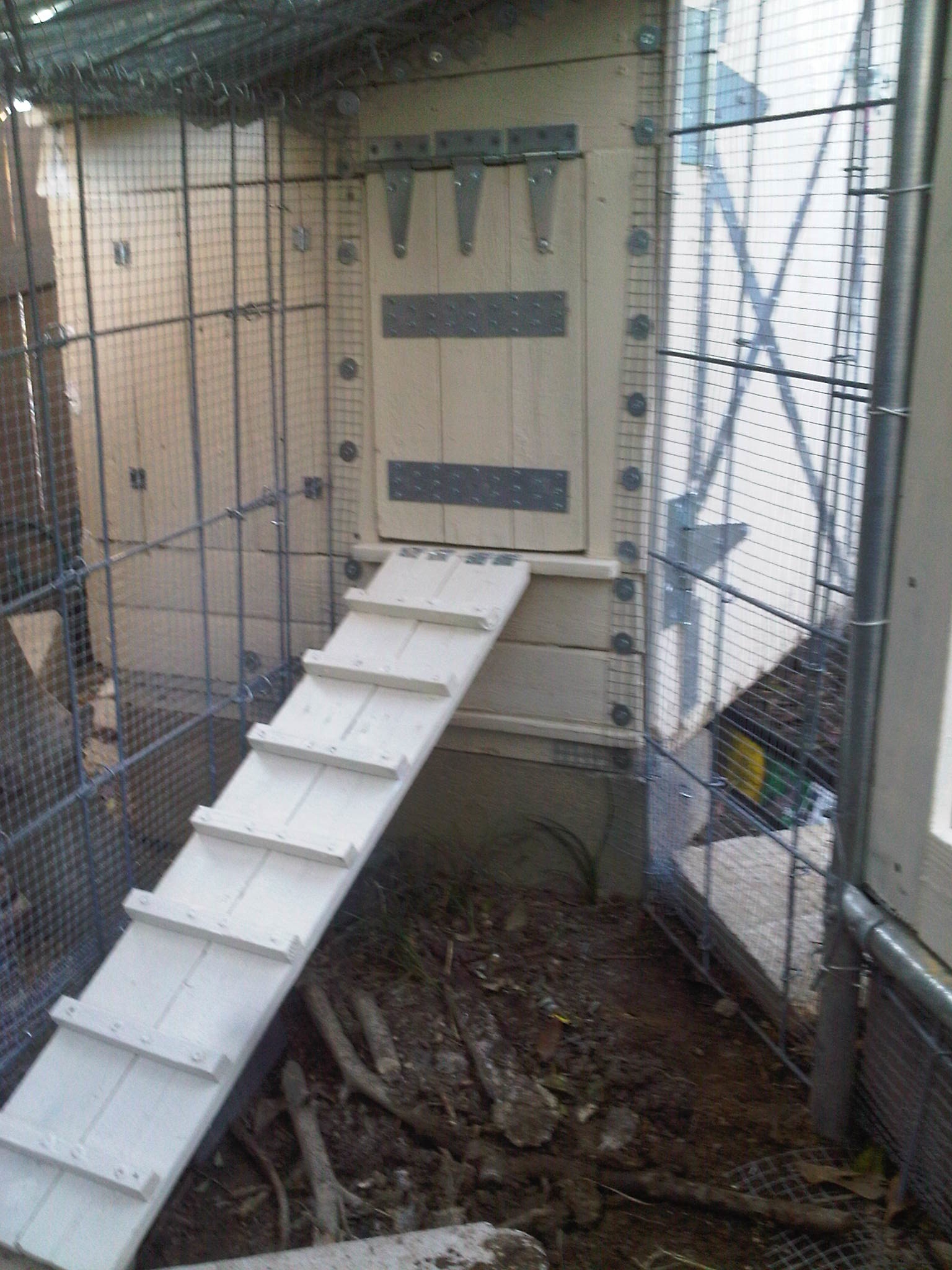 looking toward the coop from inside the run. Completed the transition area between the coop and run.