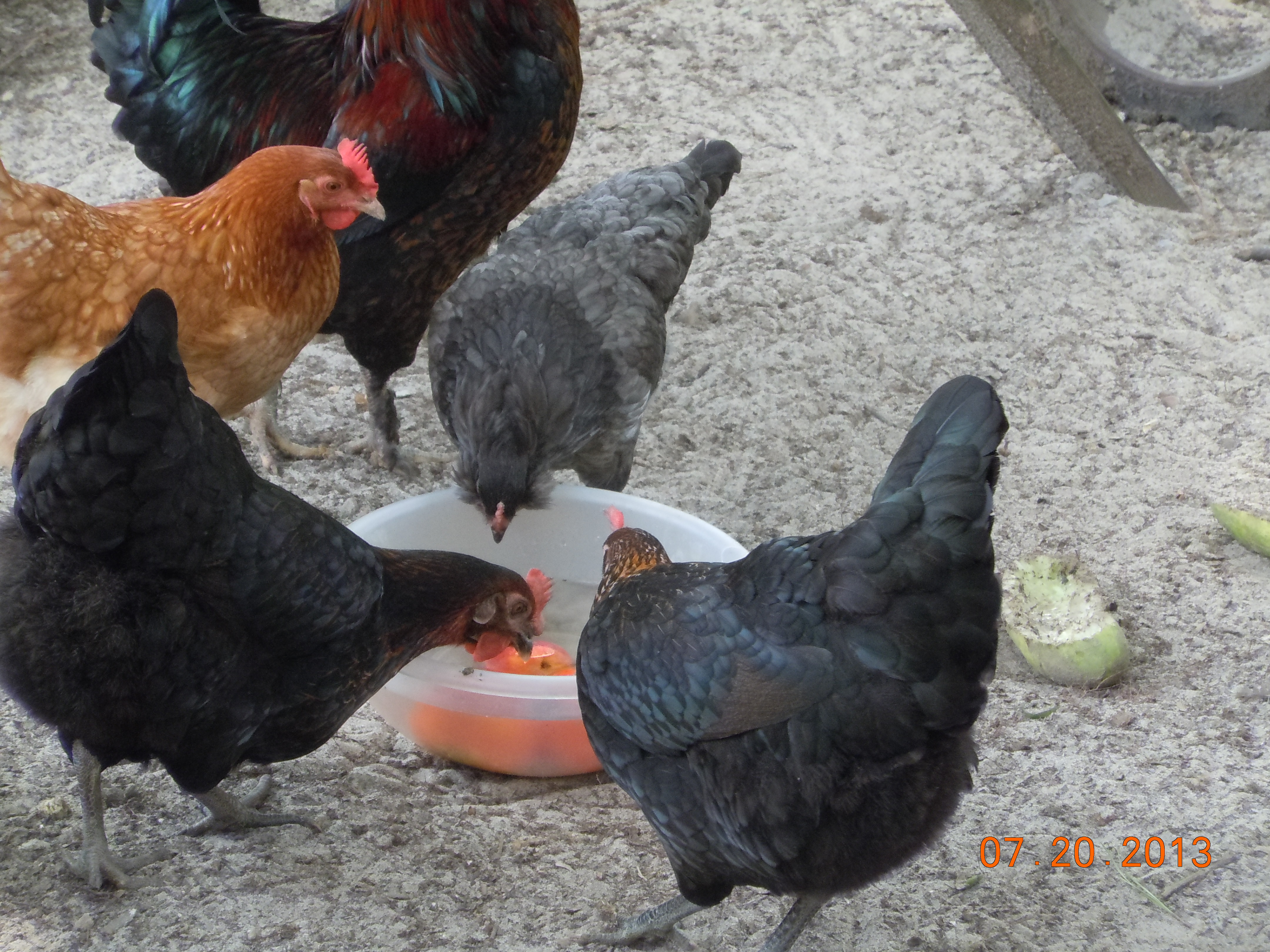 Looks like it's a hit!