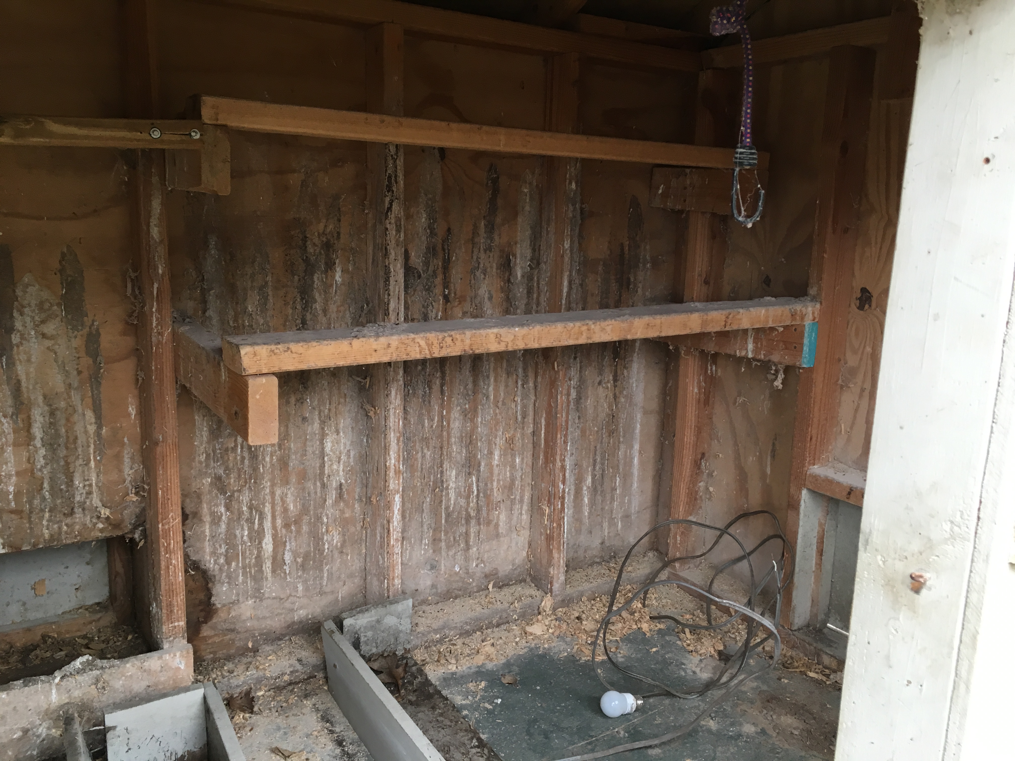 Looks like the upper roost is too close to the wall.  Much of the poop landed there.