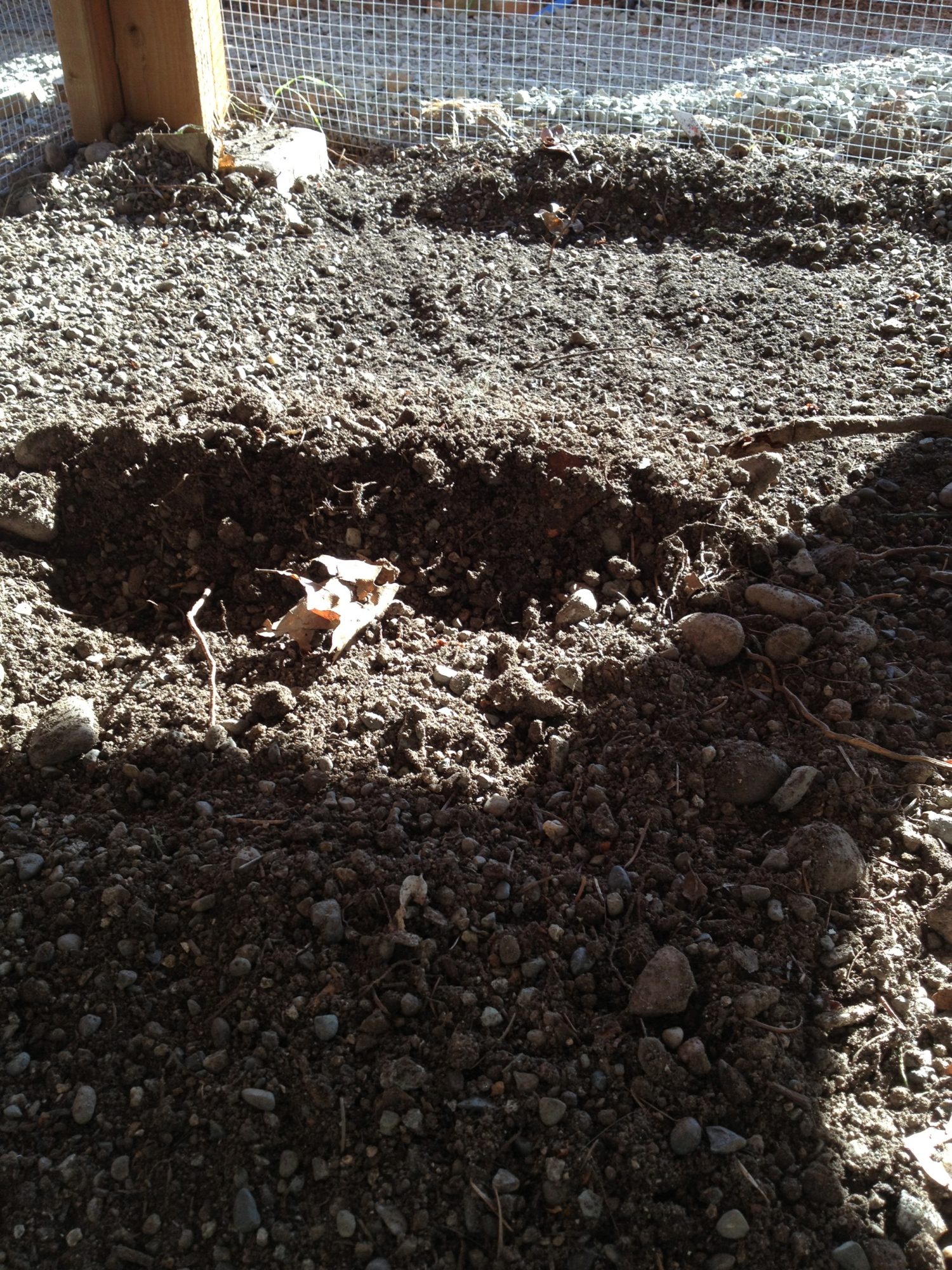 Looks like we trapped a mole in the run!