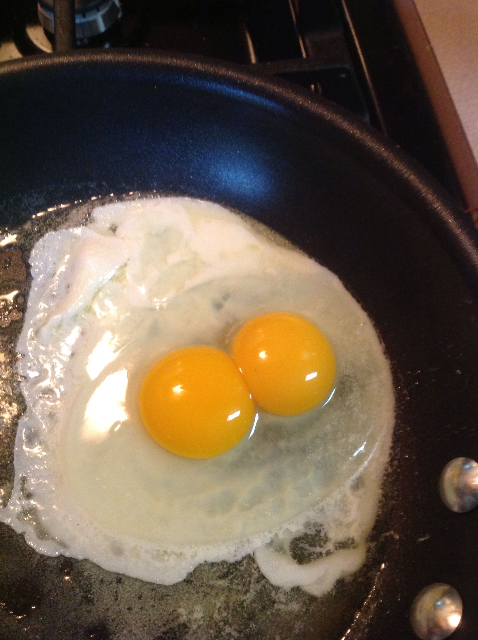 Loretta laid this double yolker, she's laid 3.