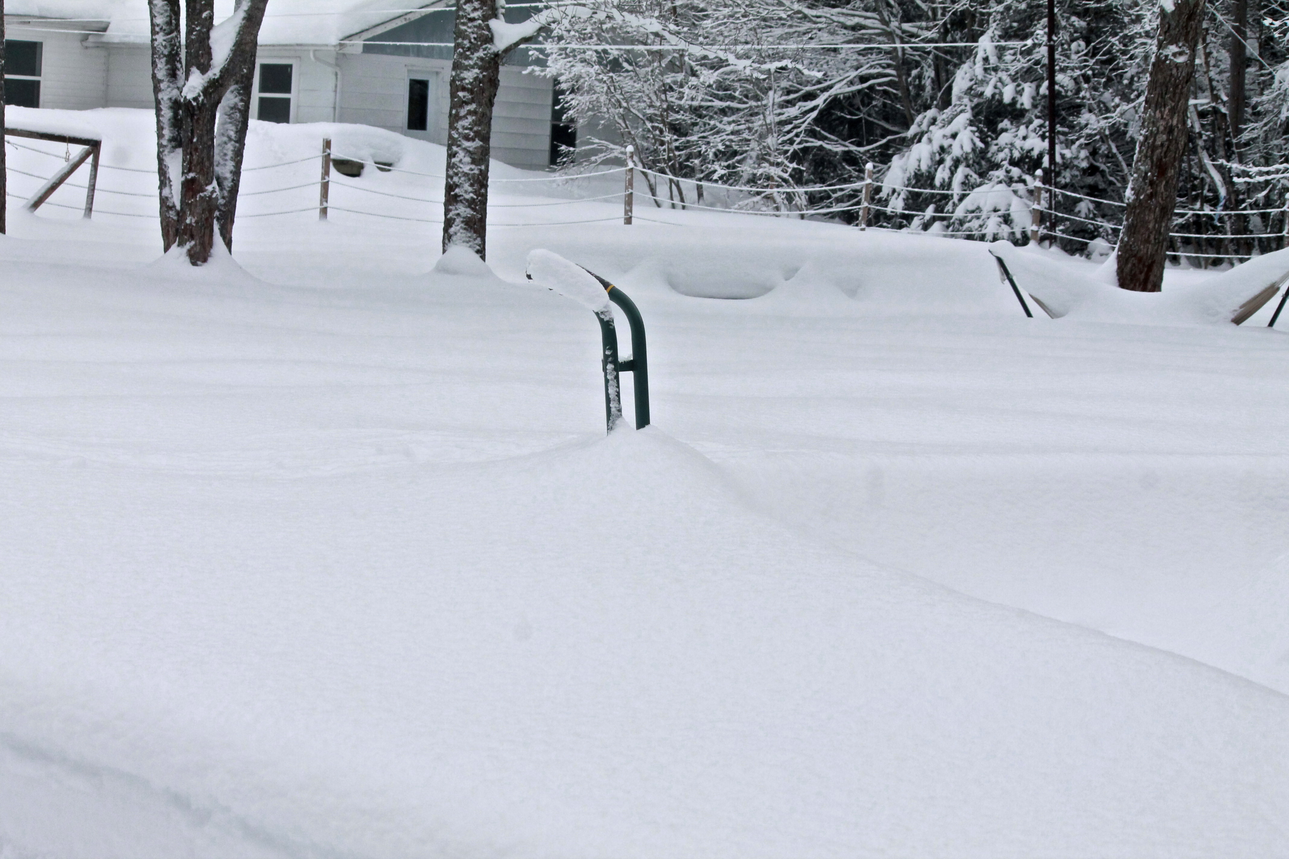 Lost our dolly in the snow...