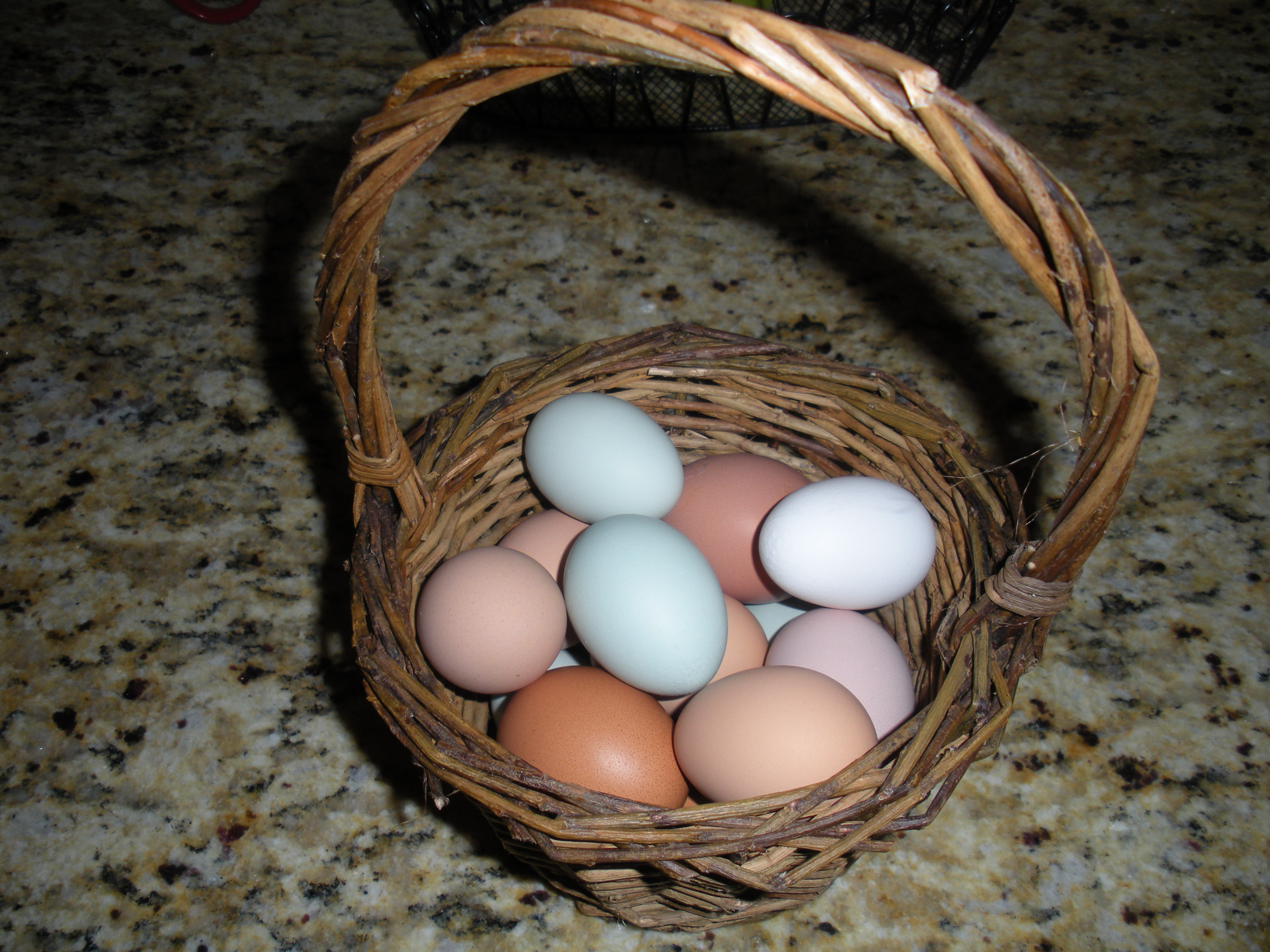 Lots of eggs