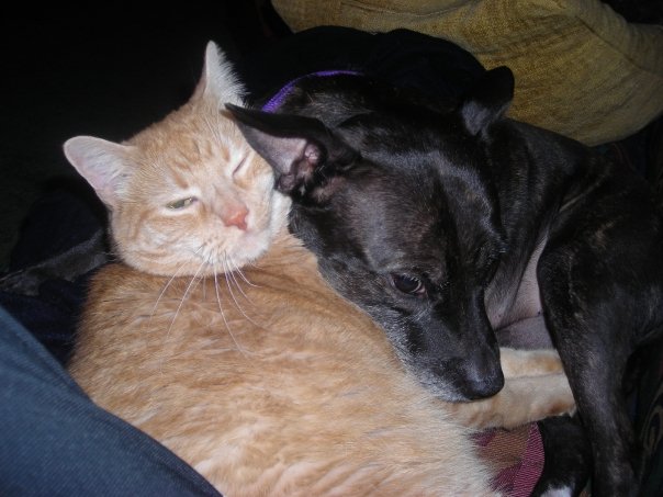 Louie and Brunella
