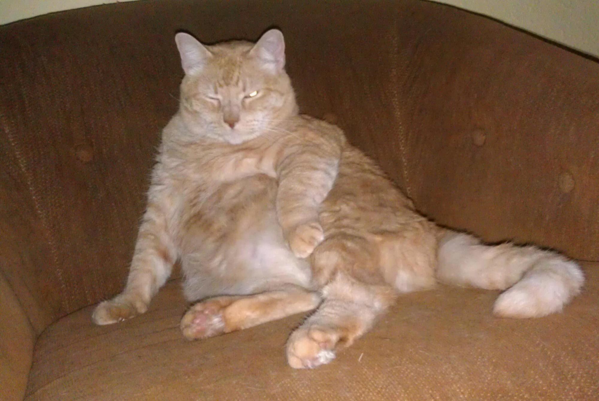 Louie