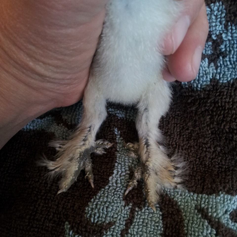 Love these feet!!!