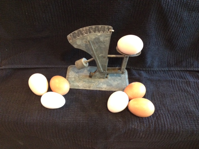 Love this old egg scale!