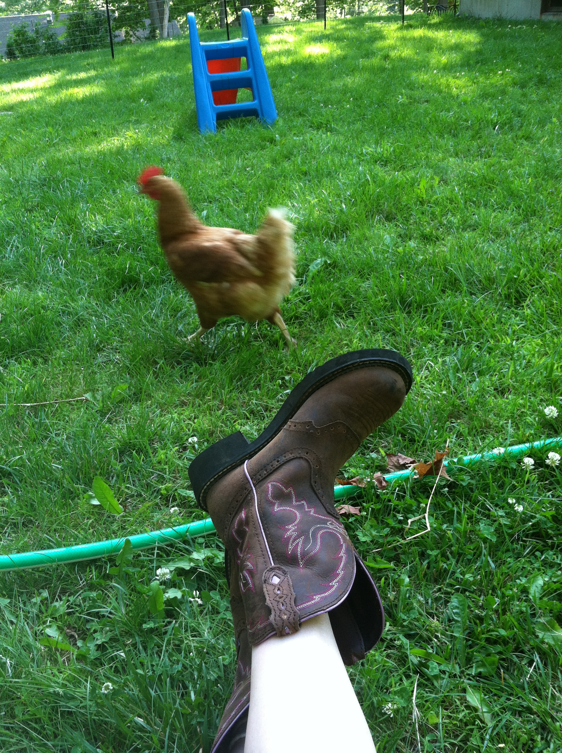 Love watching them =))