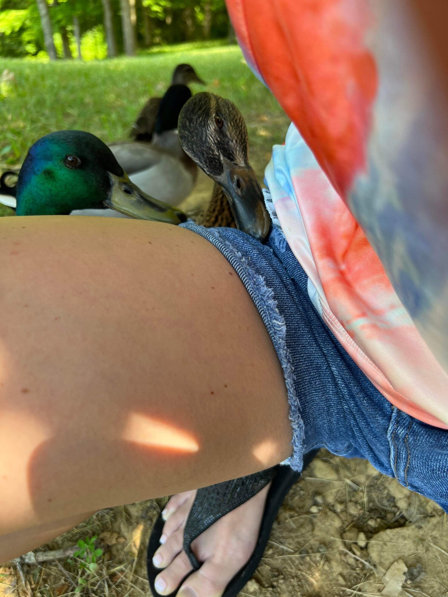 Loving on their owner