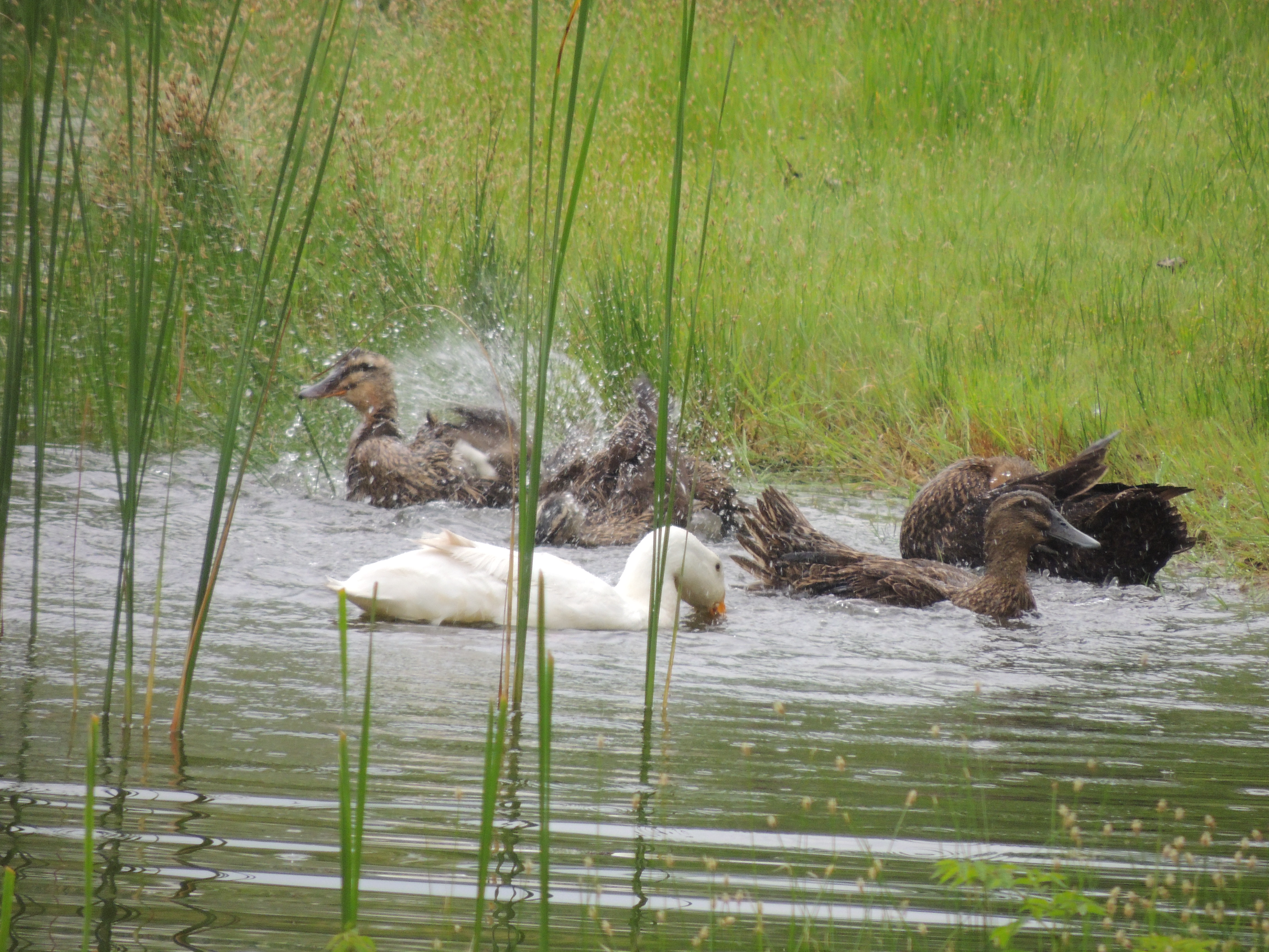 loving the summer fun