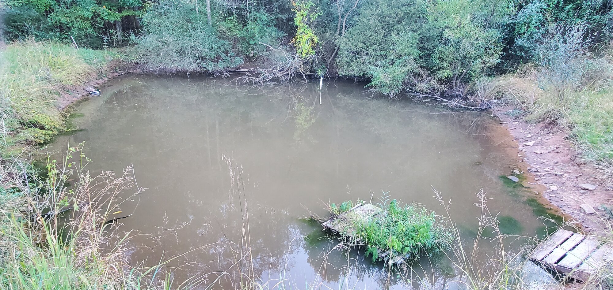 Low waterlevel at the duck-pond