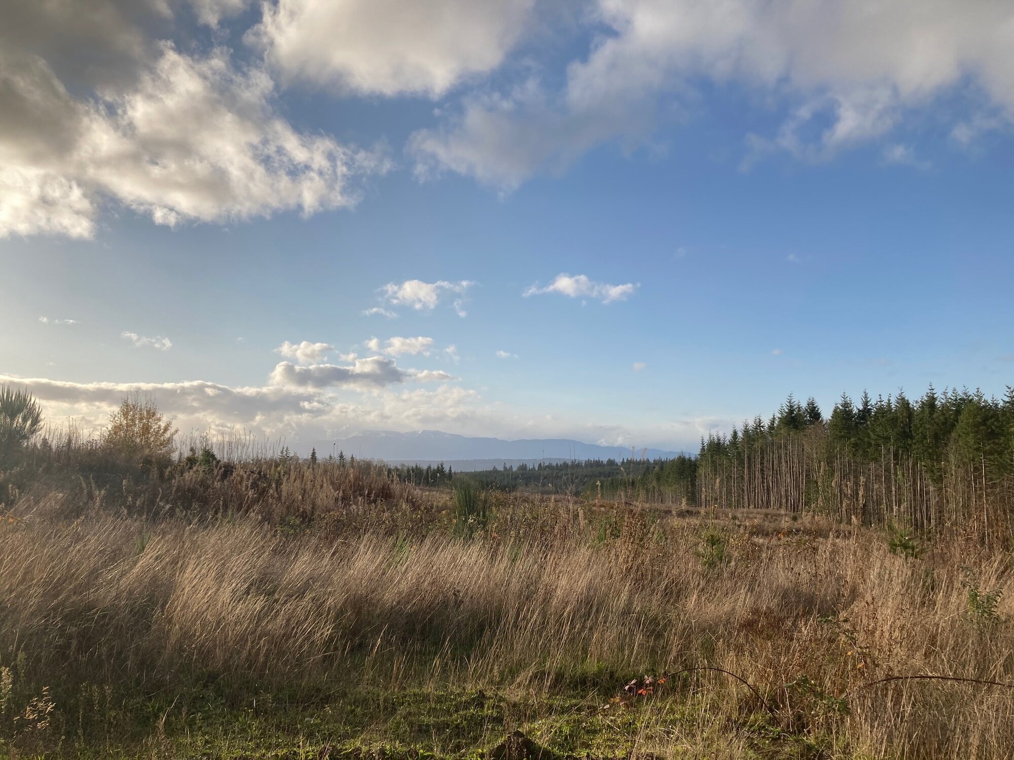 Lower hawk pond/ logging road
