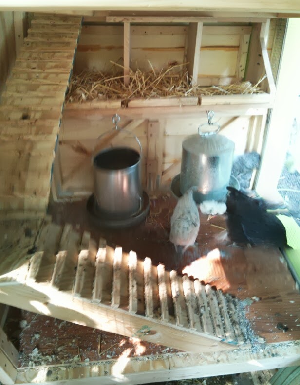 Lower level of coop.