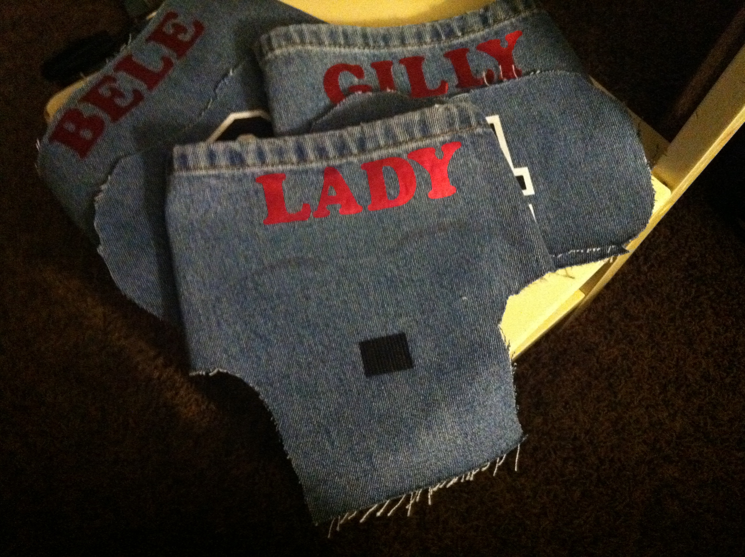 Lucky number 7 Lady bird's home made saddle/apron...velcro for the "wing" protector