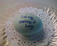 Lucy is a black Easter Egger and is also about a year old.