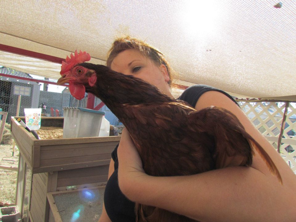 Lucy, my tough old gal