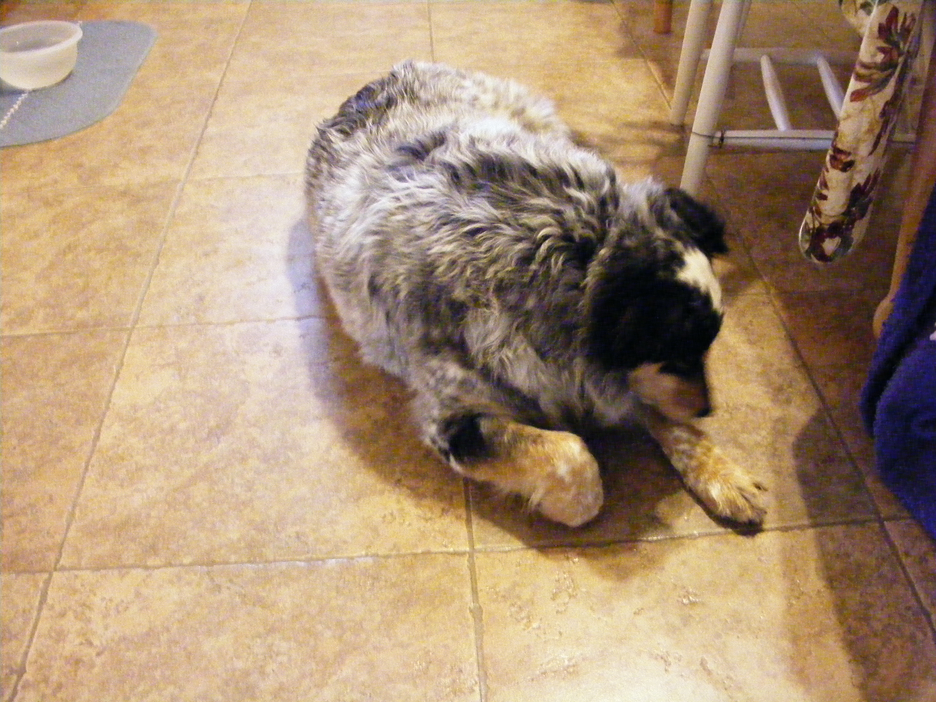 Lucy