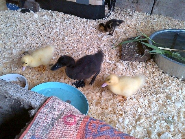 Lunch time!