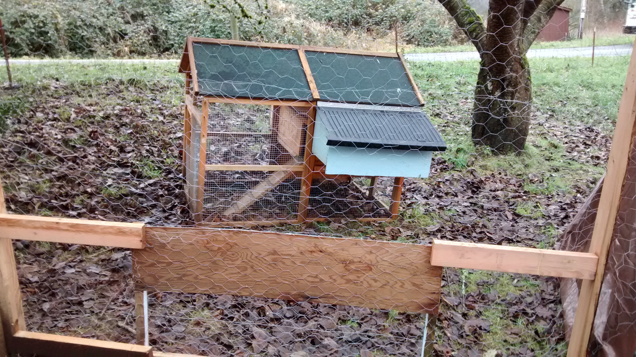 m first coop that was way to small I will sell