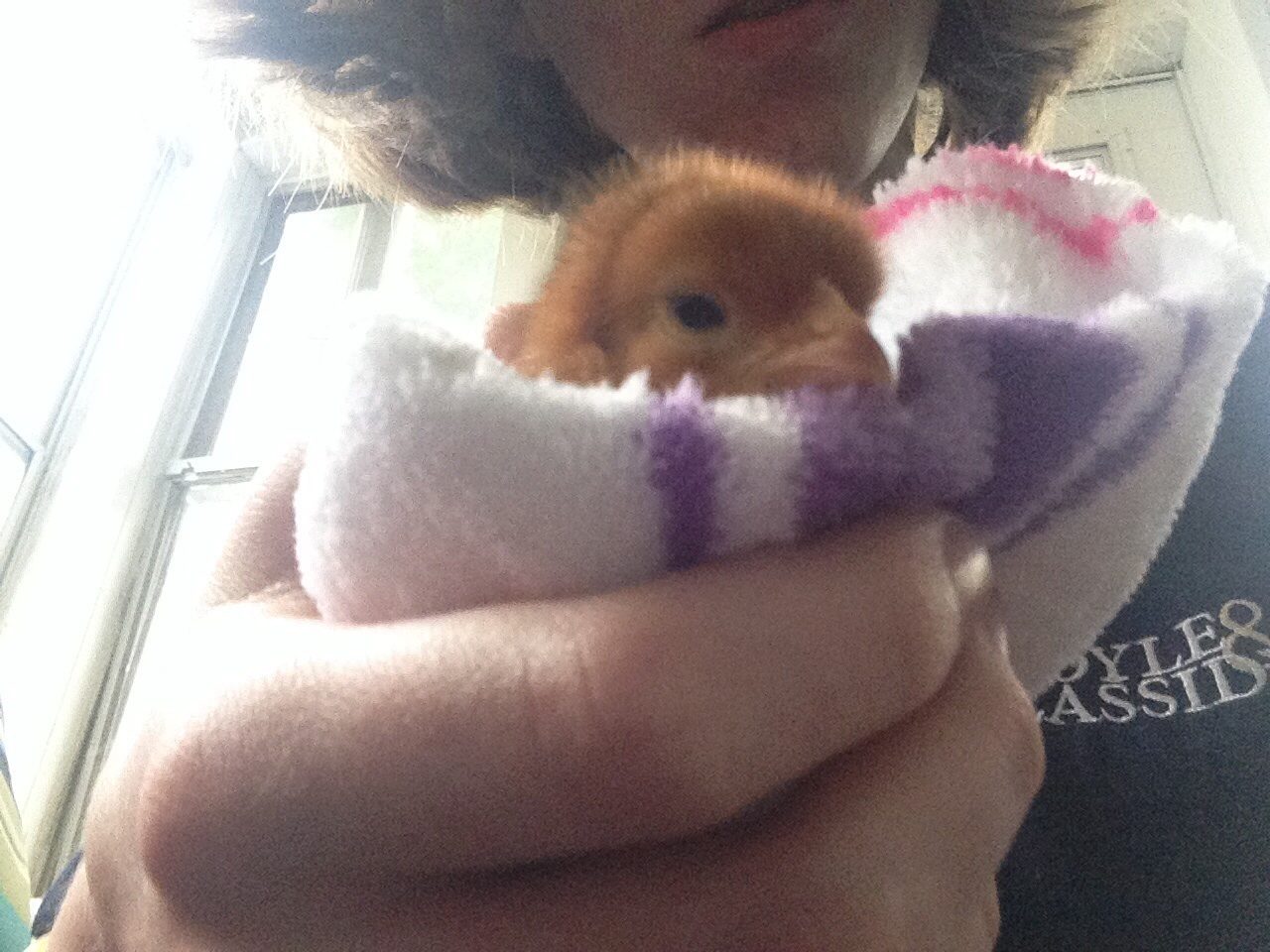 Mabel all tucked in.