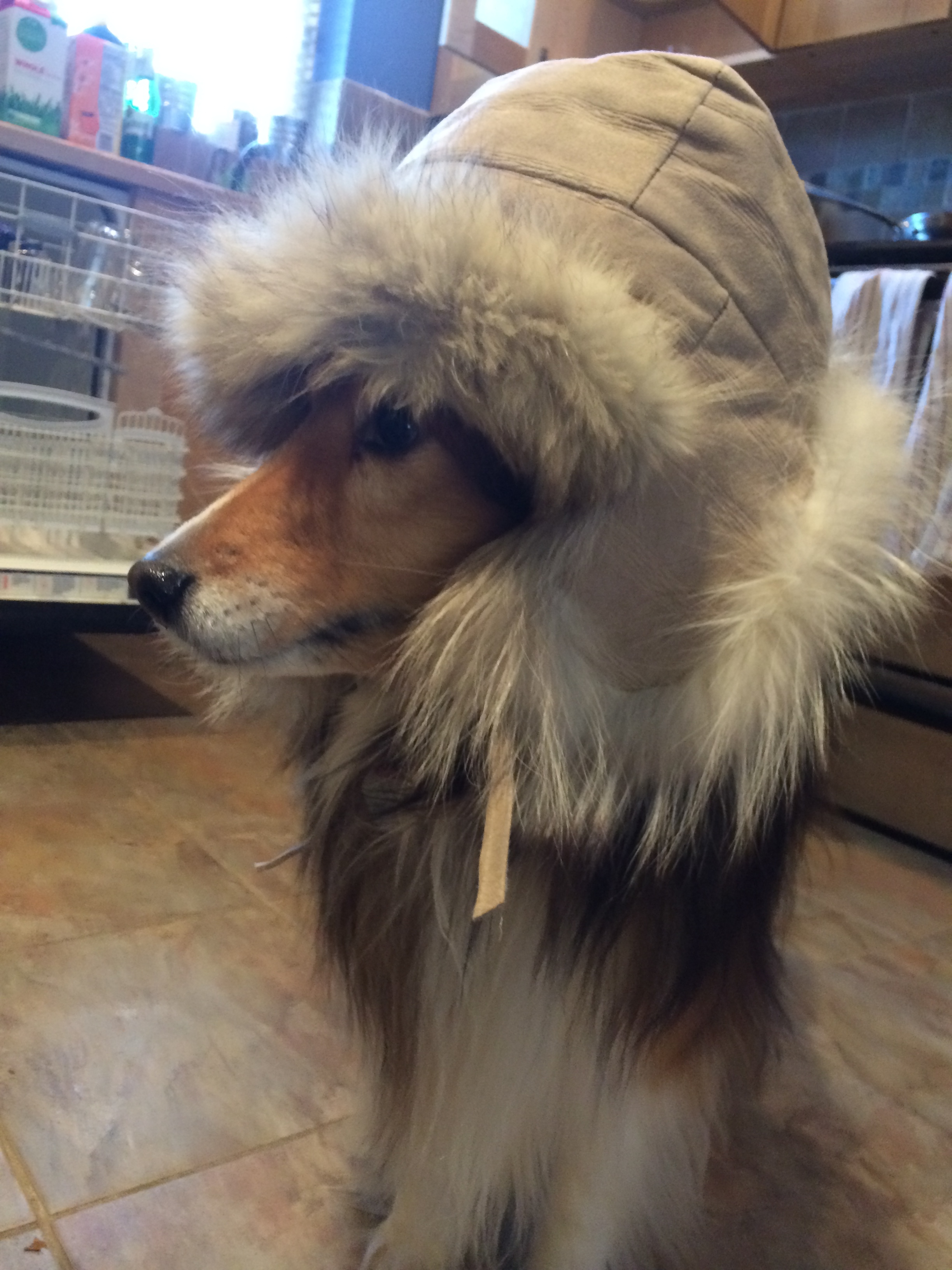 Mable's snowy day day