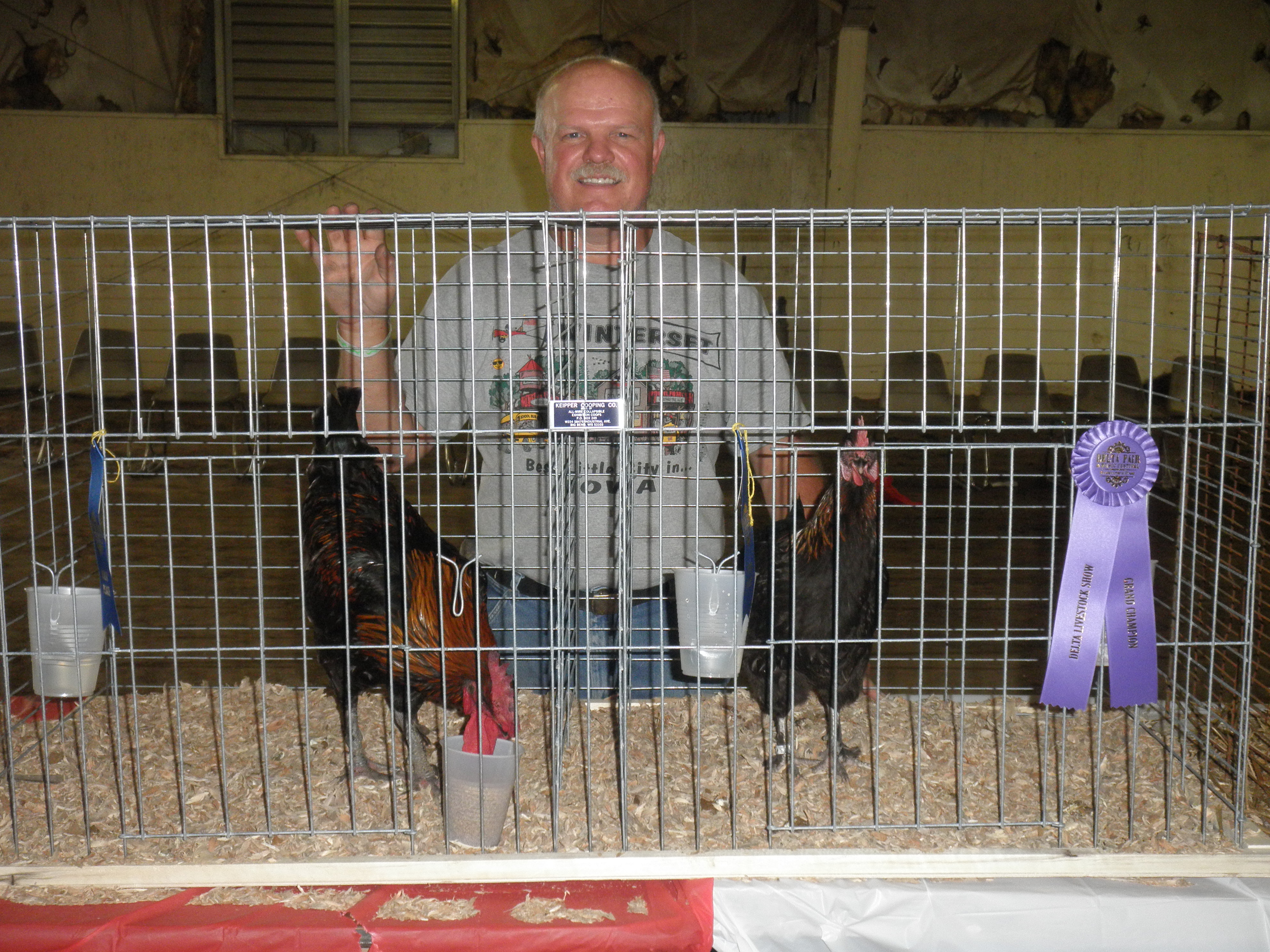 Mac's FBCM pullet did well at the show.