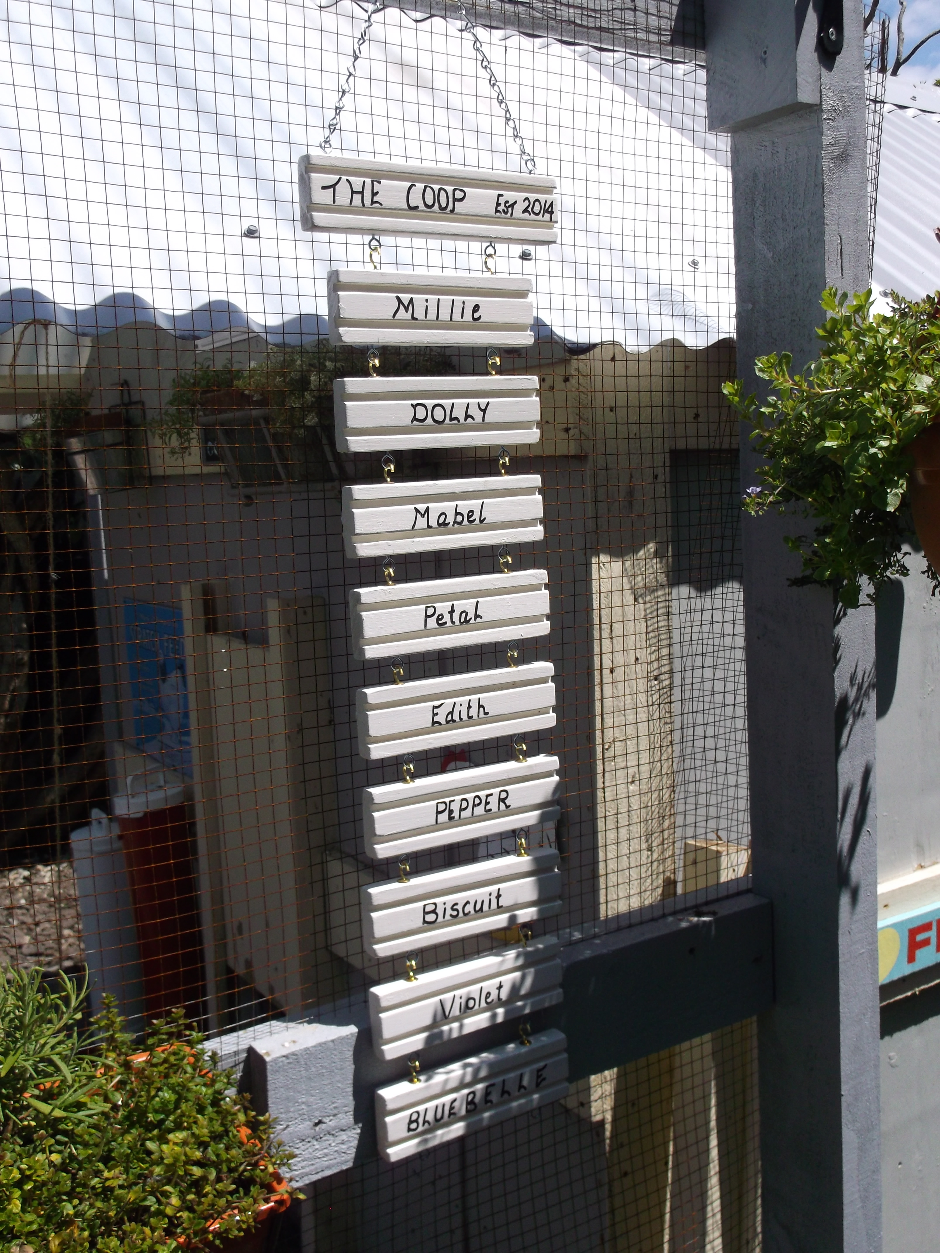 Made a sign with the girls' names and hung it on the side of the run.