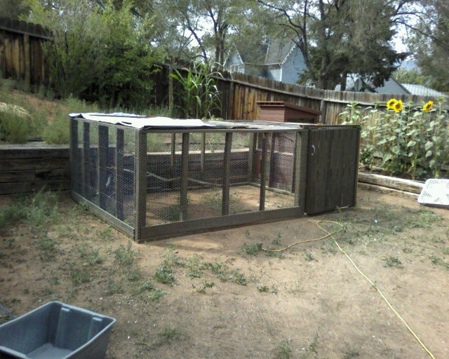 Made of all scrap wood. Pen and Coop.