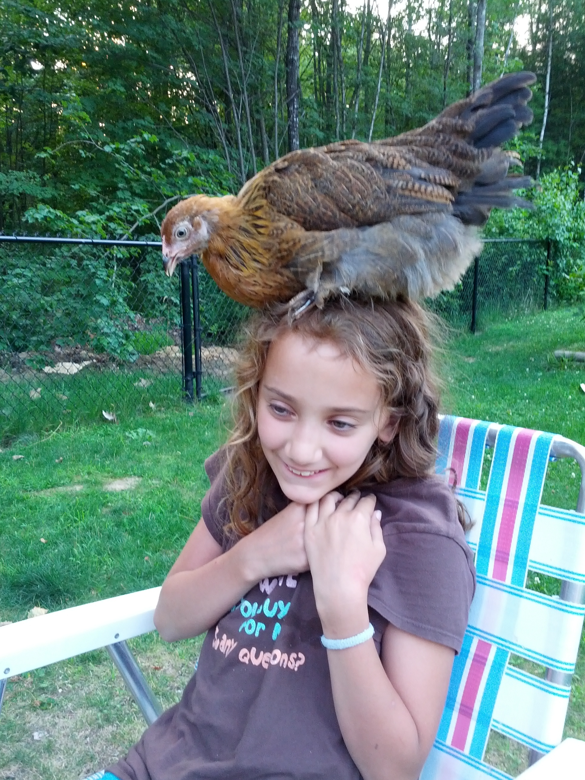 Maggie Mae loves to perch on Andrea.