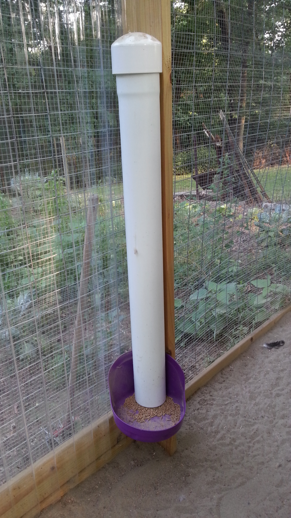 Magpie ill pale 9/10/13 enclosure