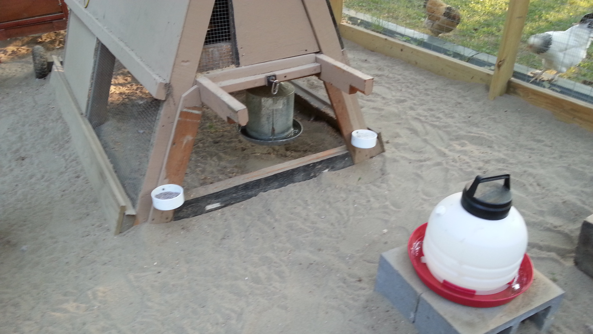 Magpie ill pale 9/10/13 enclosure