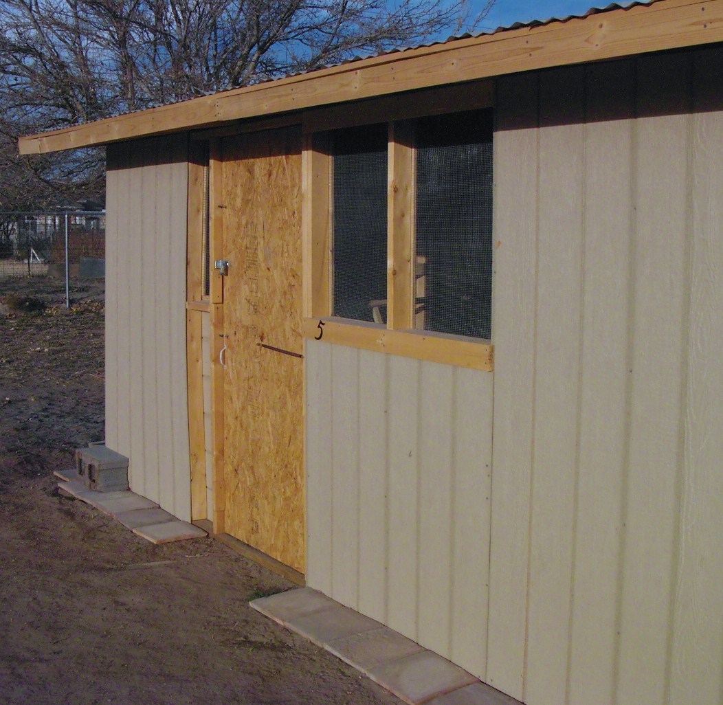 Main chicken coop for large fowl
