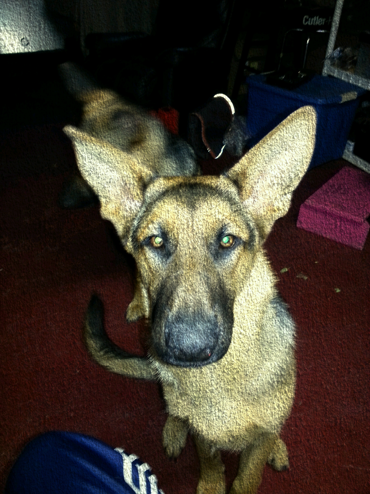 Major @ 6 months