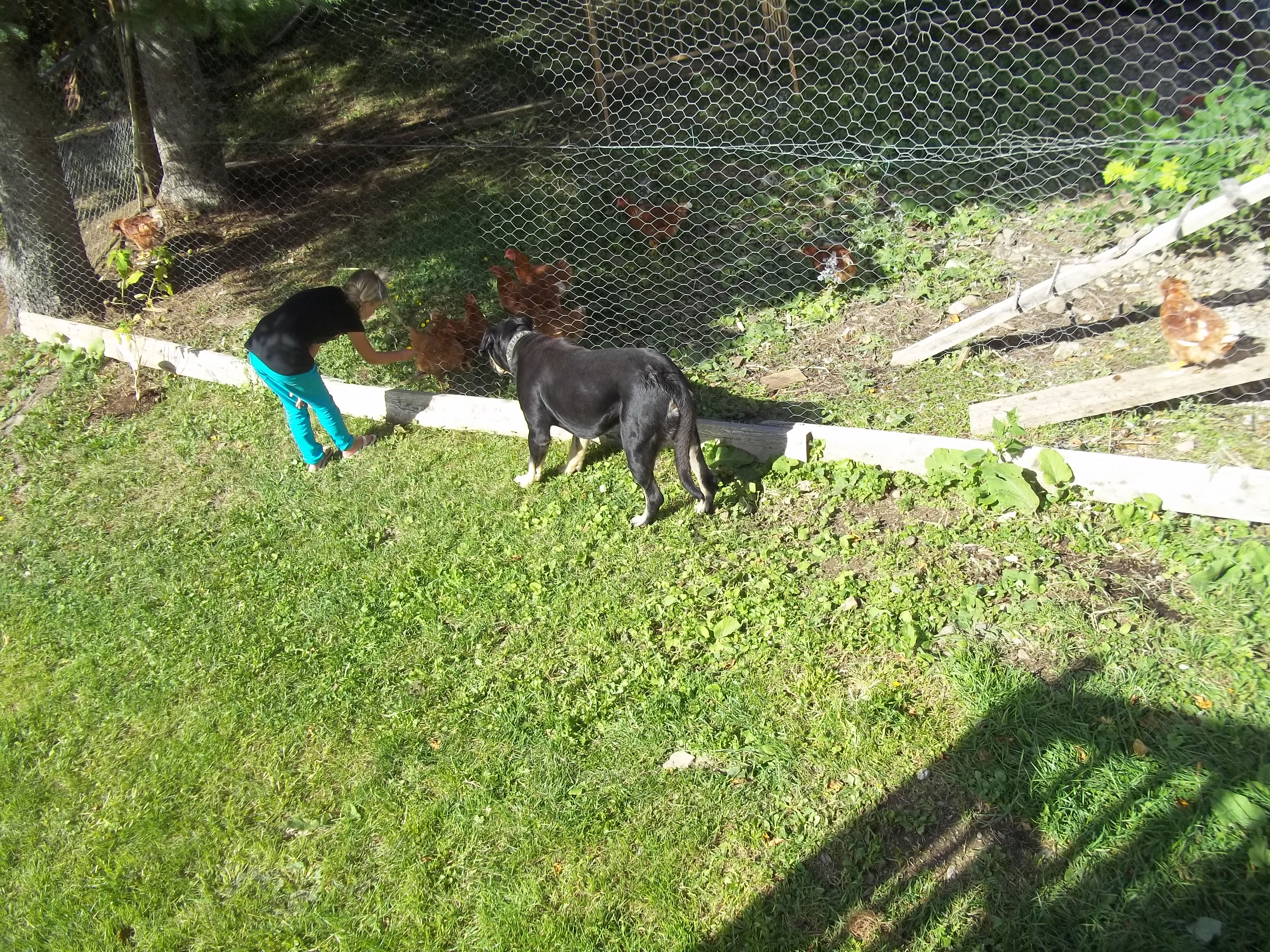 Makenah & Cub outside by the chicken run - Sept.2012