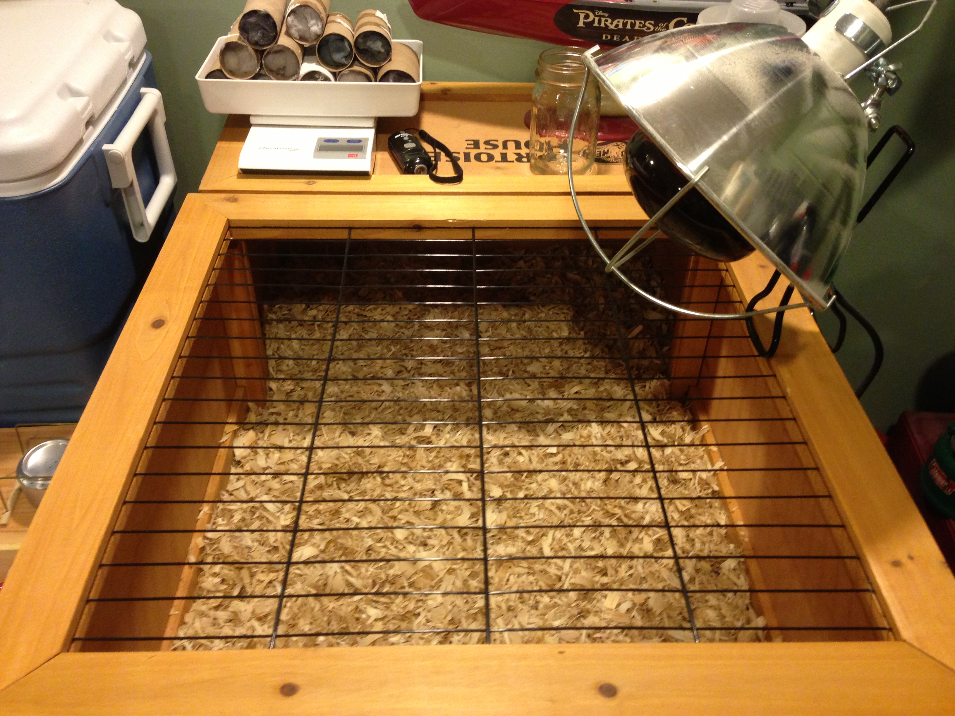 Making some progress in the transformation from Tortoise to Chicken Brooder...Feb 2nd is hatching day so time to step it up!